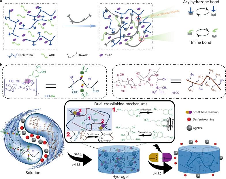 https://cdn.ncbi.nlm.nih.gov/pmc/blobs/e0fb/10463485/f435ad01cd92/40779_2023_473_Fig5_HTML.jpg