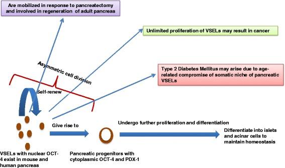 https://cdn.ncbi.nlm.nih.gov/pmc/blobs/e0fb/4432983/ee883c3a321e/13287_2015_84_Fig1_HTML.jpg