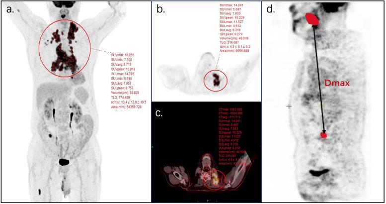 https://cdn.ncbi.nlm.nih.gov/pmc/blobs/e0fc/11656546/10c4d9070c14/40644_2024_810_Fig1_HTML.jpg