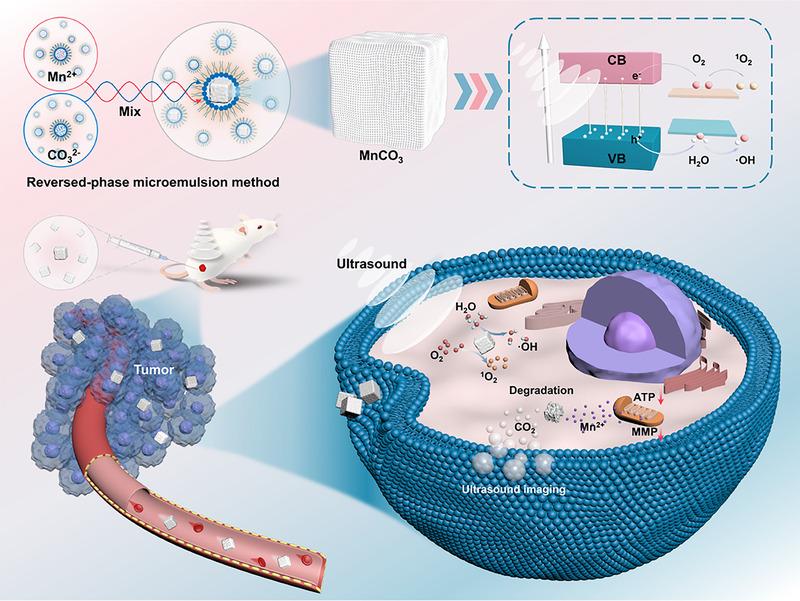 https://cdn.ncbi.nlm.nih.gov/pmc/blobs/e0fd/10190974/2217eb063b2c/EXP2-1-20210010-g004.jpg