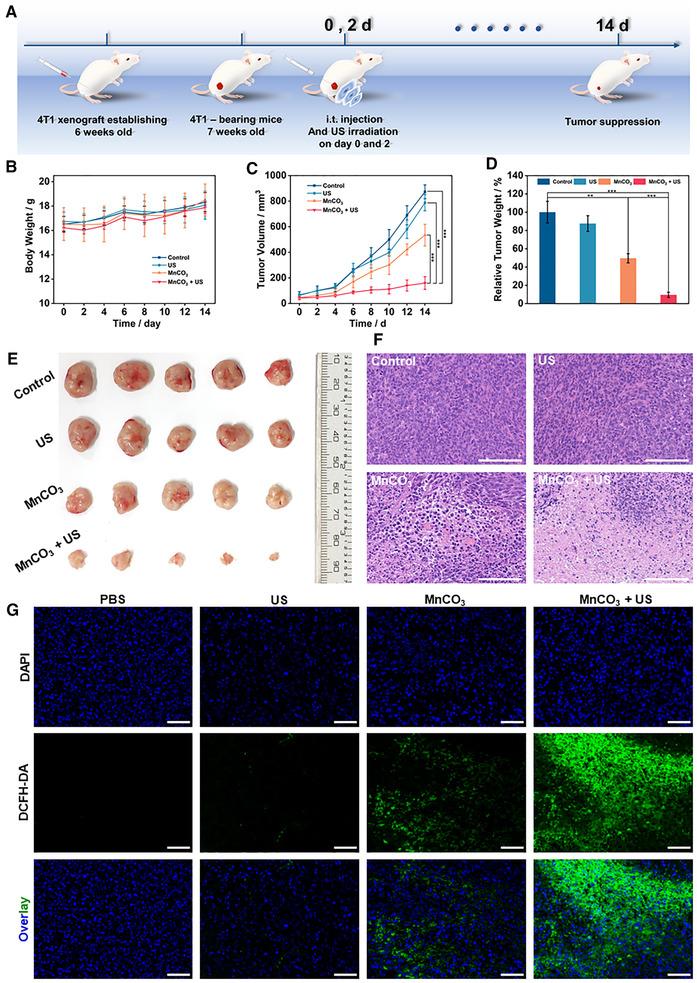 https://cdn.ncbi.nlm.nih.gov/pmc/blobs/e0fd/10190974/8febbccefe8f/EXP2-1-20210010-g002.jpg