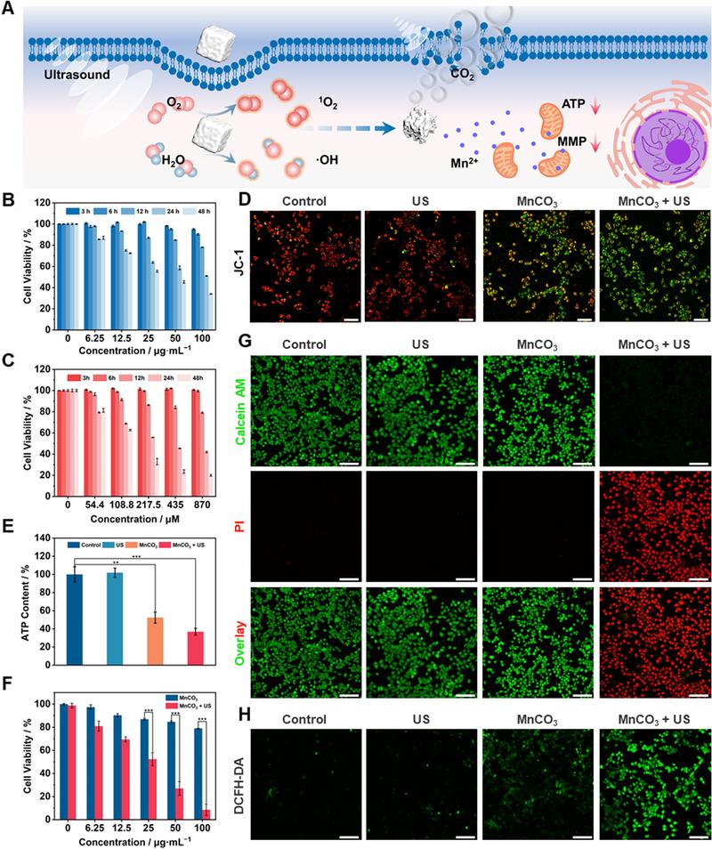 https://cdn.ncbi.nlm.nih.gov/pmc/blobs/e0fd/10190974/bc279c338653/EXP2-1-20210010-g003.jpg