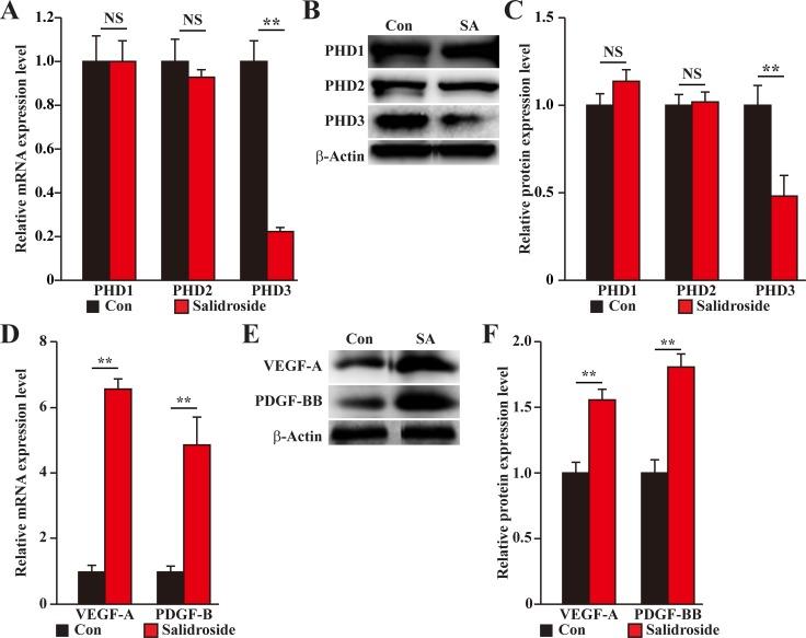 https://cdn.ncbi.nlm.nih.gov/pmc/blobs/e0fe/5722555/27062a26c493/oncotarget-08-97187-g009.jpg