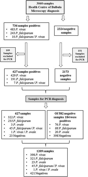 https://cdn.ncbi.nlm.nih.gov/pmc/blobs/e100/4574541/d3ba0192246d/12936_2015_893_Fig2_HTML.jpg