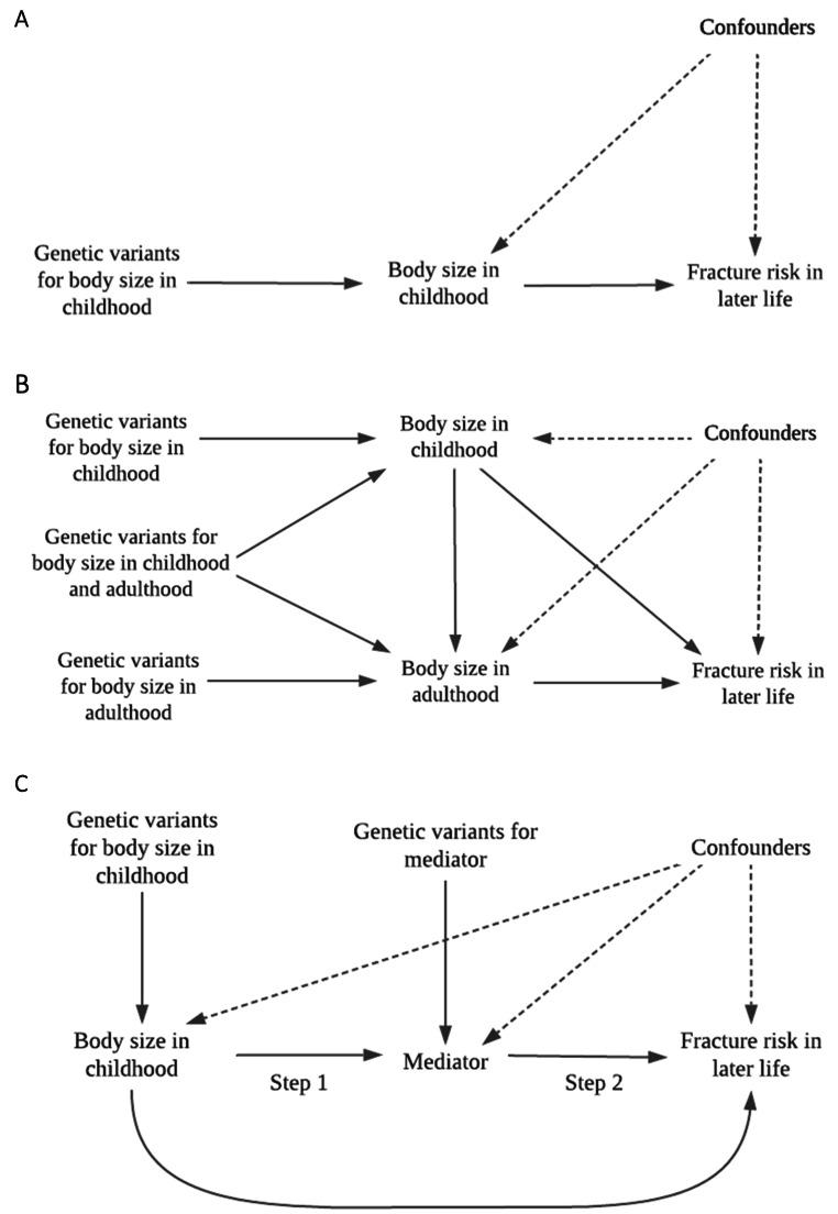 https://cdn.ncbi.nlm.nih.gov/pmc/blobs/e101/10276076/2eacd61a1b18/10654_2023_986_Fig1_HTML.jpg