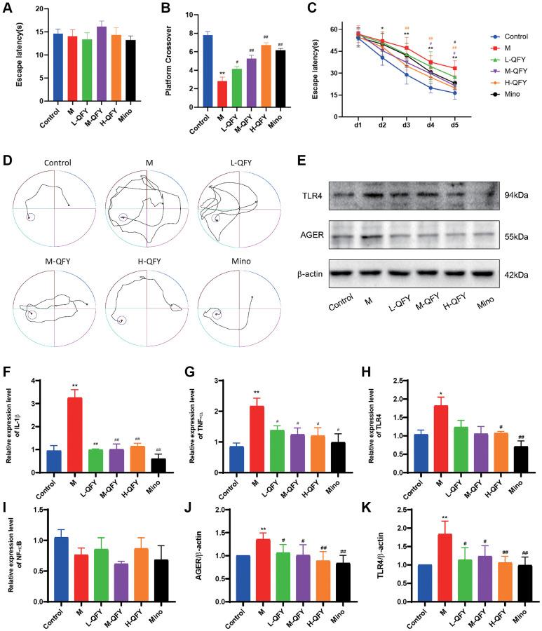 https://cdn.ncbi.nlm.nih.gov/pmc/blobs/e102/10713403/cf557fe41d3b/aging-15-205238-g006.jpg