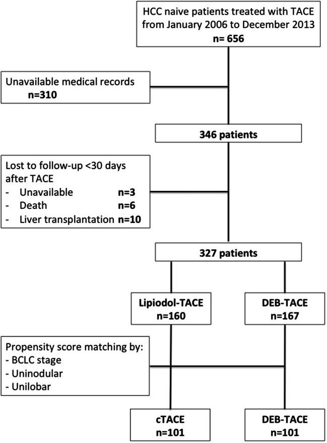 https://cdn.ncbi.nlm.nih.gov/pmc/blobs/e102/8452560/3a6a73325ccb/330_2021_7905_Fig1_HTML.jpg
