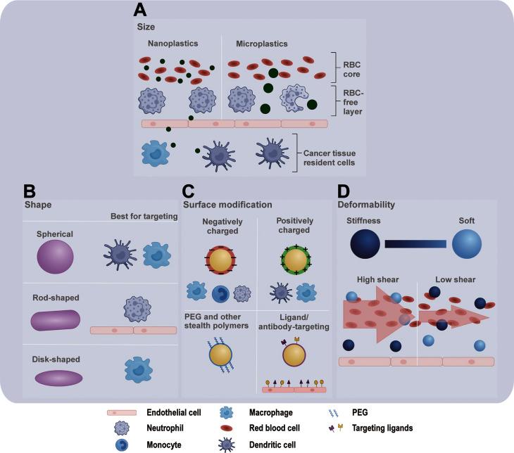 https://cdn.ncbi.nlm.nih.gov/pmc/blobs/e103/11761189/f4012a077e4f/12943_2025_2230_Fig4_HTML.jpg