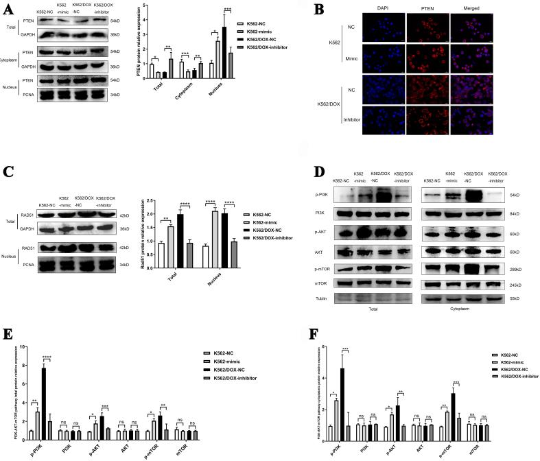 https://cdn.ncbi.nlm.nih.gov/pmc/blobs/e107/11977356/03b5928ceddb/cdr-8-16.fig.5.jpg