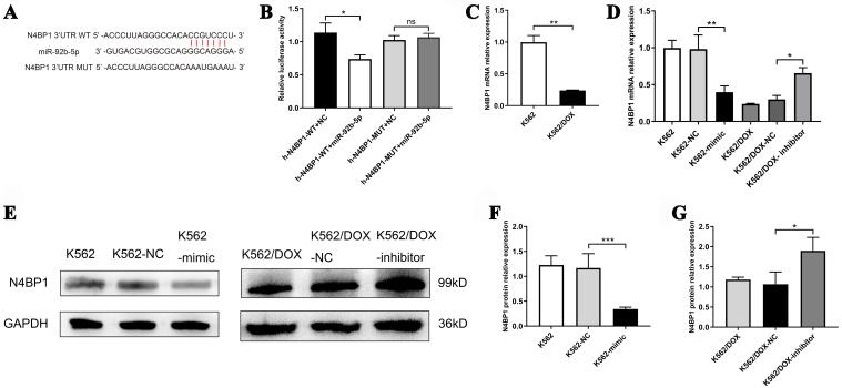 https://cdn.ncbi.nlm.nih.gov/pmc/blobs/e107/11977356/81375327f915/cdr-8-16.fig.3.jpg