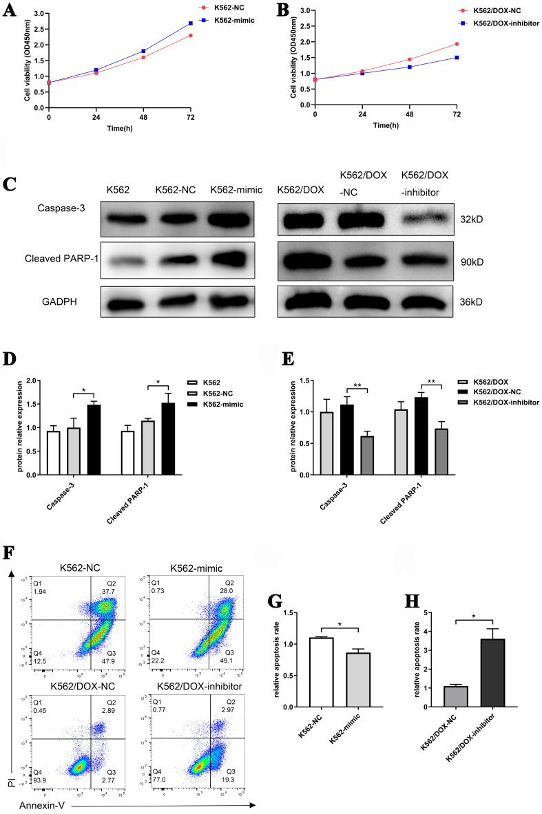 https://cdn.ncbi.nlm.nih.gov/pmc/blobs/e107/11977356/c54826f1e245/cdr-8-16.fig.6.jpg