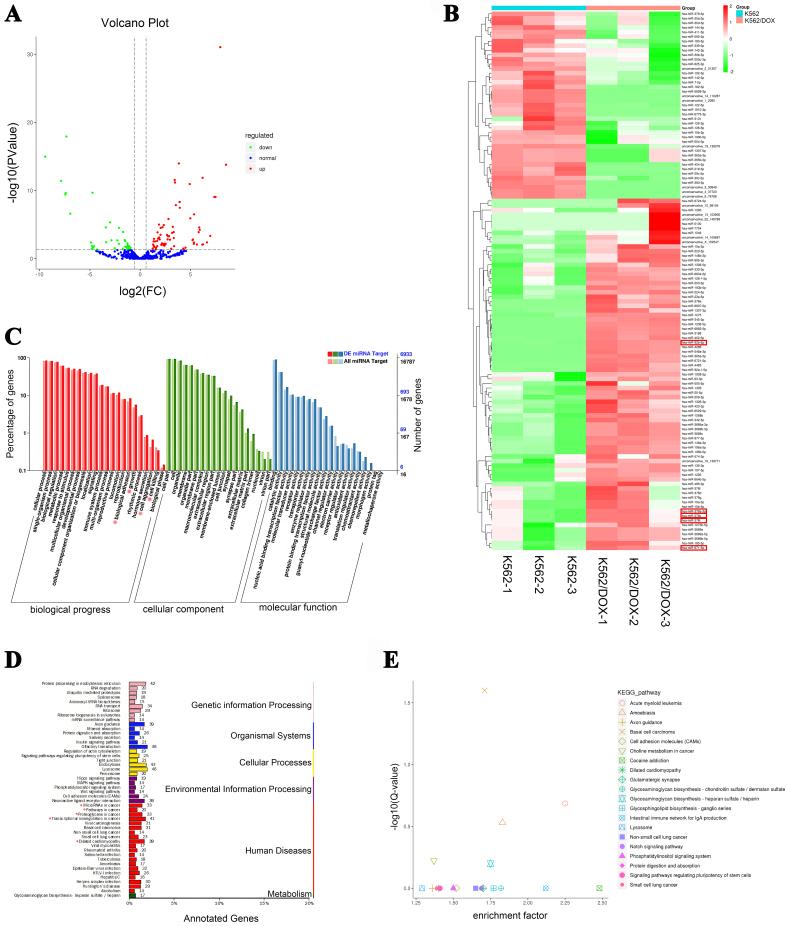 https://cdn.ncbi.nlm.nih.gov/pmc/blobs/e107/11977356/cde9e6bdf529/cdr-8-16.fig.1.jpg