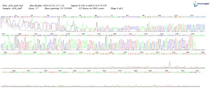 https://cdn.ncbi.nlm.nih.gov/pmc/blobs/e107/8716966/06389e0e3097/gr11.jpg