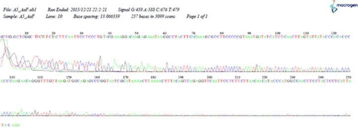 https://cdn.ncbi.nlm.nih.gov/pmc/blobs/e107/8716966/a925044a84bc/gr4.jpg