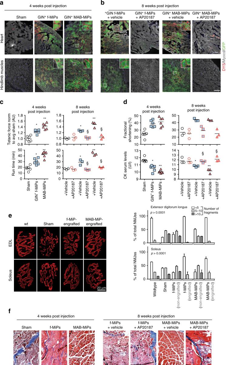 https://cdn.ncbi.nlm.nih.gov/pmc/blobs/e108/5665910/409a11017c65/41467_2017_1359_Fig2_HTML.jpg