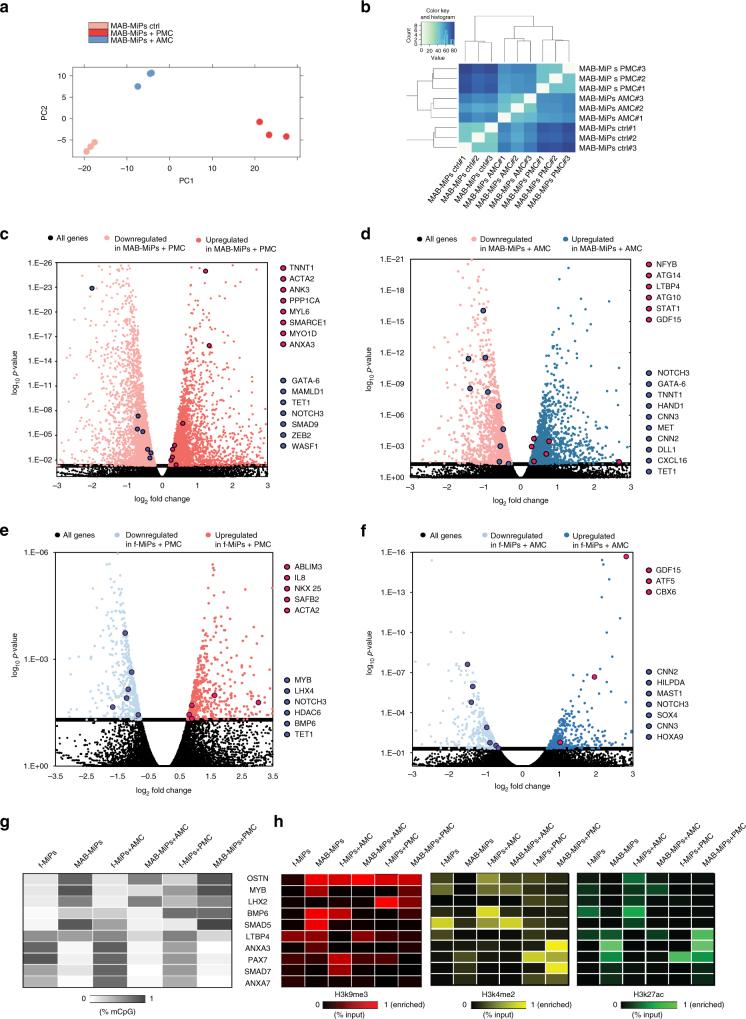 https://cdn.ncbi.nlm.nih.gov/pmc/blobs/e108/5665910/ba2543ce6463/41467_2017_1359_Fig5_HTML.jpg