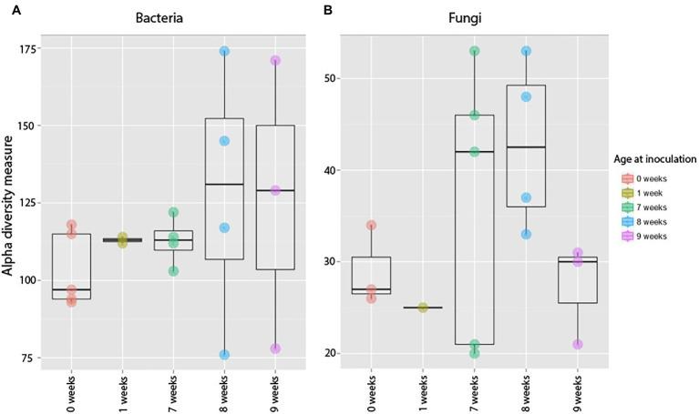 https://cdn.ncbi.nlm.nih.gov/pmc/blobs/e109/9069014/2282a35c241b/fmicb-13-826521-g006.jpg