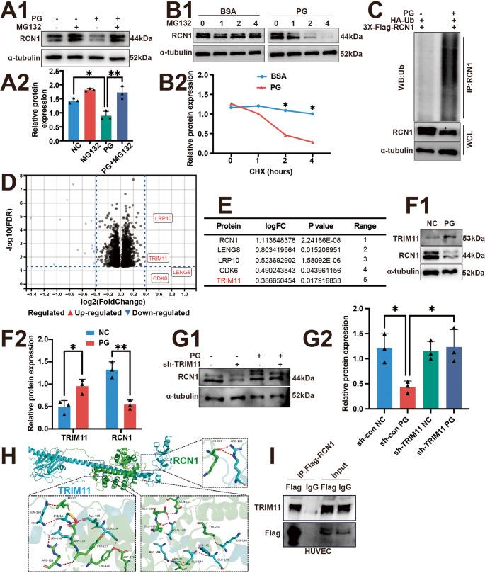 https://cdn.ncbi.nlm.nih.gov/pmc/blobs/e10a/12378791/0f8ea4d41c27/18_2025_5814_Fig7_HTML.jpg
