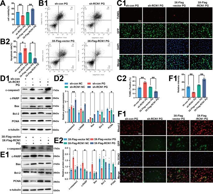 https://cdn.ncbi.nlm.nih.gov/pmc/blobs/e10a/12378791/11c522d32559/18_2025_5814_Fig3_HTML.jpg