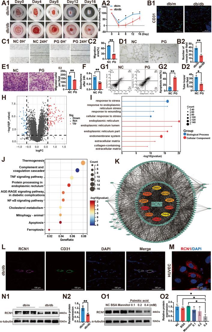 https://cdn.ncbi.nlm.nih.gov/pmc/blobs/e10a/12378791/a7668460b7c9/18_2025_5814_Fig1_HTML.jpg