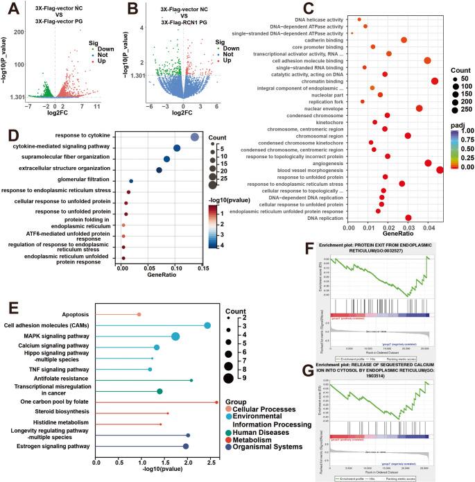 https://cdn.ncbi.nlm.nih.gov/pmc/blobs/e10a/12378791/c2b440817fc9/18_2025_5814_Fig4_HTML.jpg