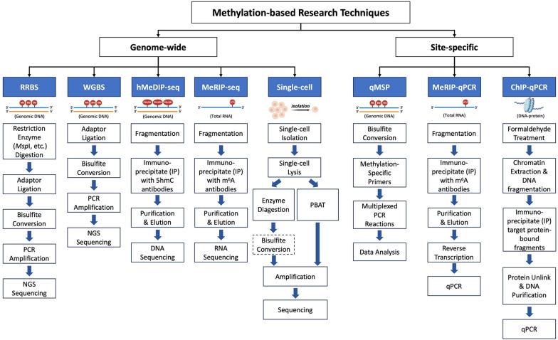 https://cdn.ncbi.nlm.nih.gov/pmc/blobs/e10c/10577916/0998f9f58a35/12935_2023_3074_Fig2_HTML.jpg