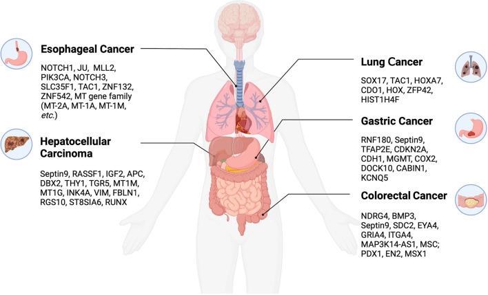 https://cdn.ncbi.nlm.nih.gov/pmc/blobs/e10c/10577916/603109f2e18a/12935_2023_3074_Fig3_HTML.jpg