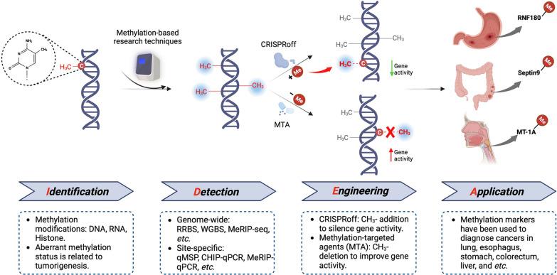 https://cdn.ncbi.nlm.nih.gov/pmc/blobs/e10c/10577916/9eaafc5cbe74/12935_2023_3074_Fig1_HTML.jpg