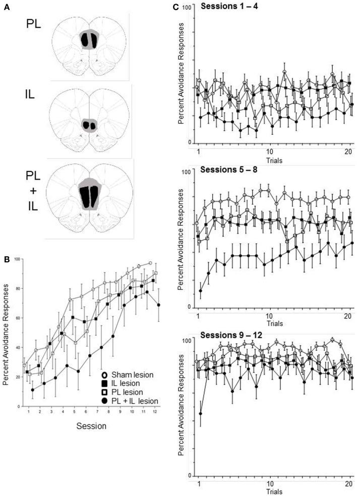 https://cdn.ncbi.nlm.nih.gov/pmc/blobs/e10e/4240176/1b3fefdb5546/fnbeh-08-00403-g006.jpg