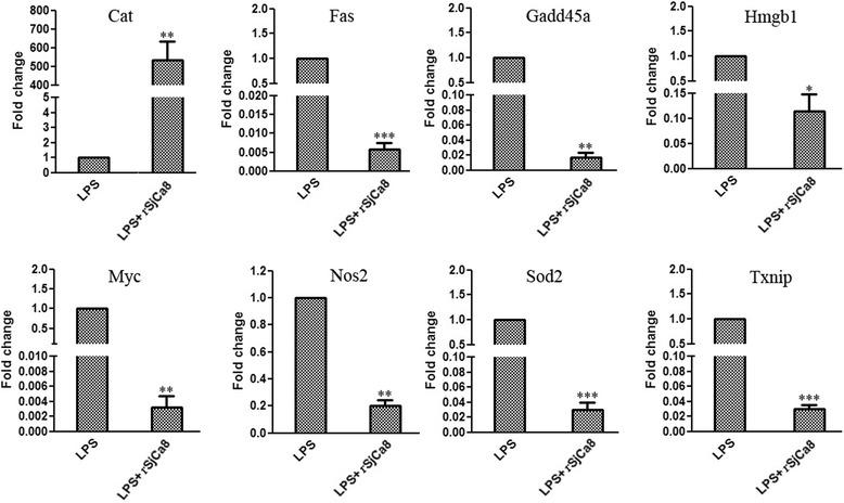 https://cdn.ncbi.nlm.nih.gov/pmc/blobs/e10e/4597762/9d054ae5408c/13071_2015_1119_Fig9_HTML.jpg