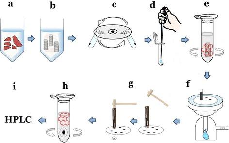 https://cdn.ncbi.nlm.nih.gov/pmc/blobs/e10e/5024449/30791c040d3b/12995_2016_132_Fig1_HTML.jpg