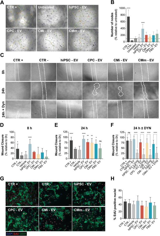 https://cdn.ncbi.nlm.nih.gov/pmc/blobs/e110/9130911/649c715e686d/ADVS-9-2104296-g009.jpg
