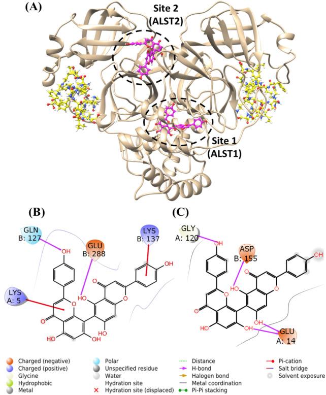 https://cdn.ncbi.nlm.nih.gov/pmc/blobs/e111/9525951/5e857e4f688f/gr6_lrg.jpg