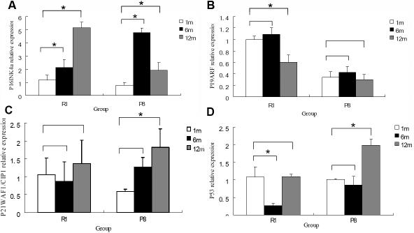 https://cdn.ncbi.nlm.nih.gov/pmc/blobs/e113/2669445/1a82c764121a/mv-v15-747-f8.jpg