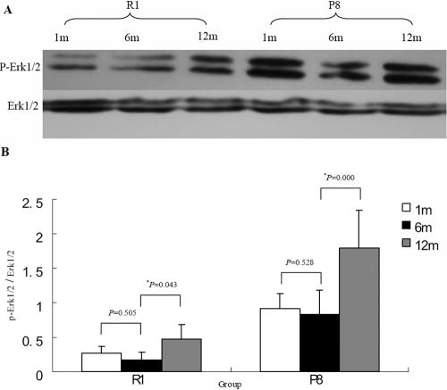https://cdn.ncbi.nlm.nih.gov/pmc/blobs/e113/2669445/96f23e96184d/mv-v15-747-f9.jpg
