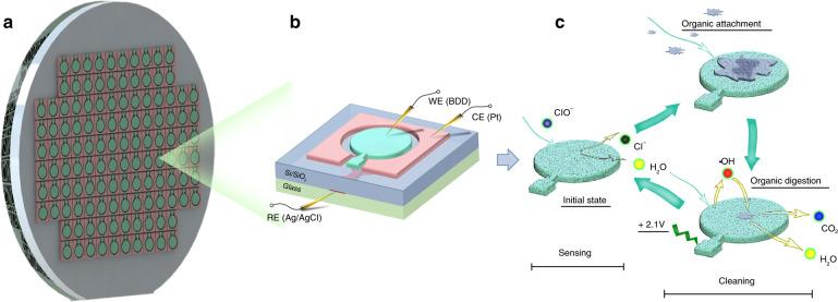 https://cdn.ncbi.nlm.nih.gov/pmc/blobs/e113/8993810/e2e05239254e/41378_2022_359_Fig1_HTML.jpg