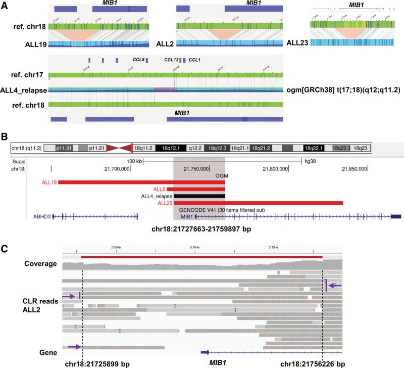 https://cdn.ncbi.nlm.nih.gov/pmc/blobs/e114/10353714/bc51b74f3de6/hs9-7-e925-g007.jpg