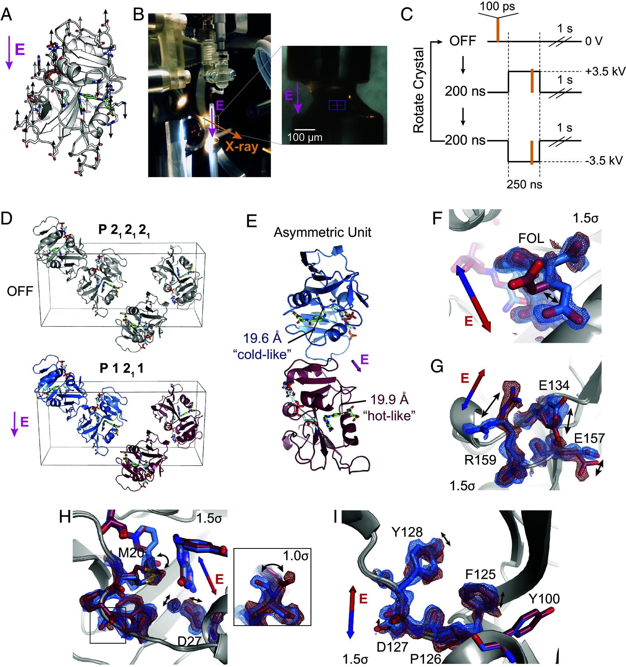 https://cdn.ncbi.nlm.nih.gov/pmc/blobs/e117/10907320/3ecaf8d55791/pnas.2313192121fig04.jpg
