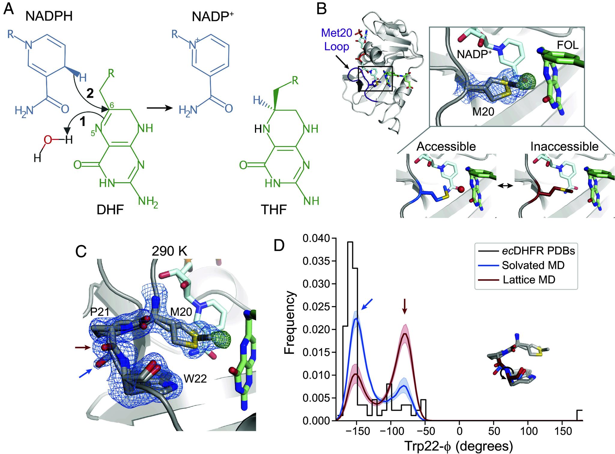 https://cdn.ncbi.nlm.nih.gov/pmc/blobs/e117/10907320/52a336e371e1/pnas.2313192121fig01.jpg