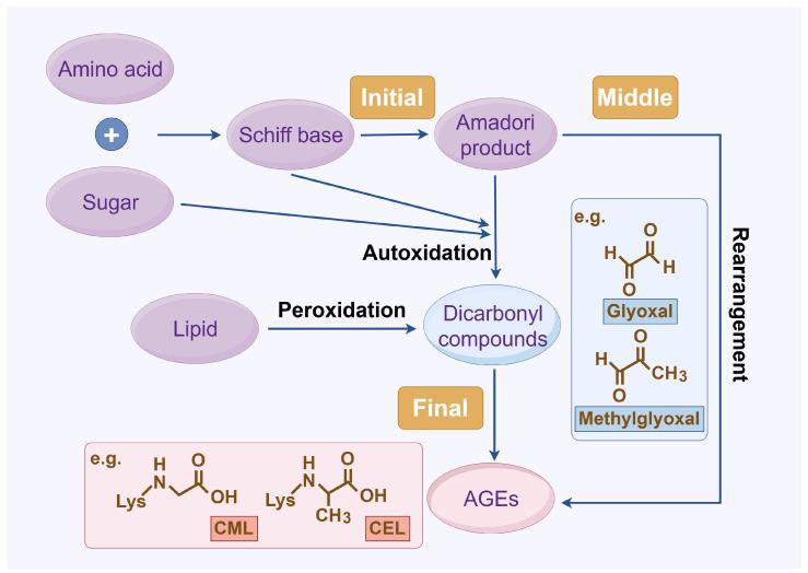 https://cdn.ncbi.nlm.nih.gov/pmc/blobs/e117/12024296/df36a04f1f52/antioxidants-14-00492-g001.jpg