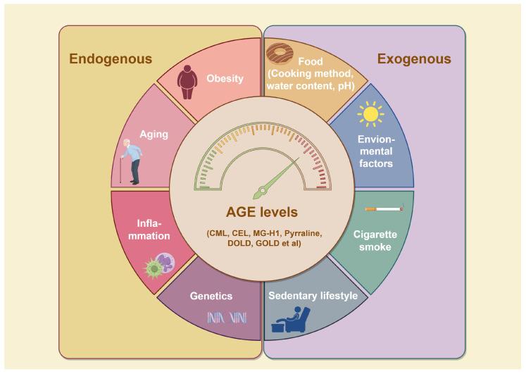 https://cdn.ncbi.nlm.nih.gov/pmc/blobs/e117/12024296/f3778d5c8aaa/antioxidants-14-00492-g002.jpg