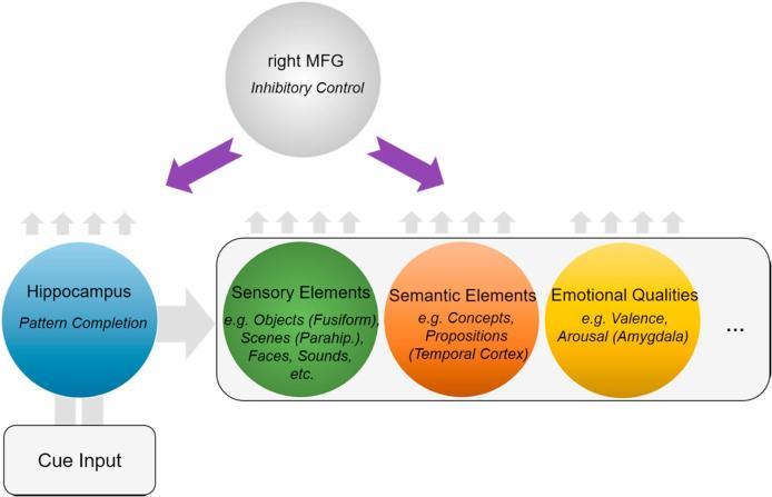 https://cdn.ncbi.nlm.nih.gov/pmc/blobs/e117/6446185/fadd9133abec/gr6.jpg
