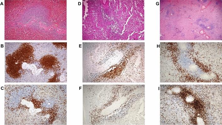 https://cdn.ncbi.nlm.nih.gov/pmc/blobs/e118/7705651/86343d8fac6b/41598_2020_77945_Fig3_HTML.jpg