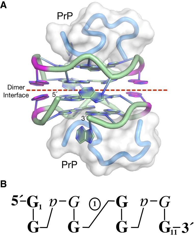https://cdn.ncbi.nlm.nih.gov/pmc/blobs/e118/7962482/28dfea7274f2/390f08.jpg