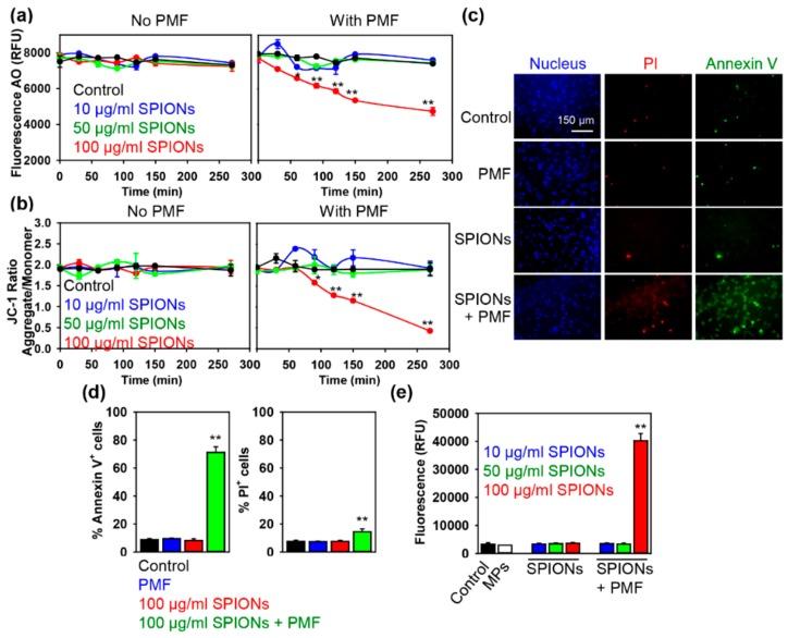 https://cdn.ncbi.nlm.nih.gov/pmc/blobs/e119/6966689/6dcf73d622ac/cancers-11-01873-g003.jpg