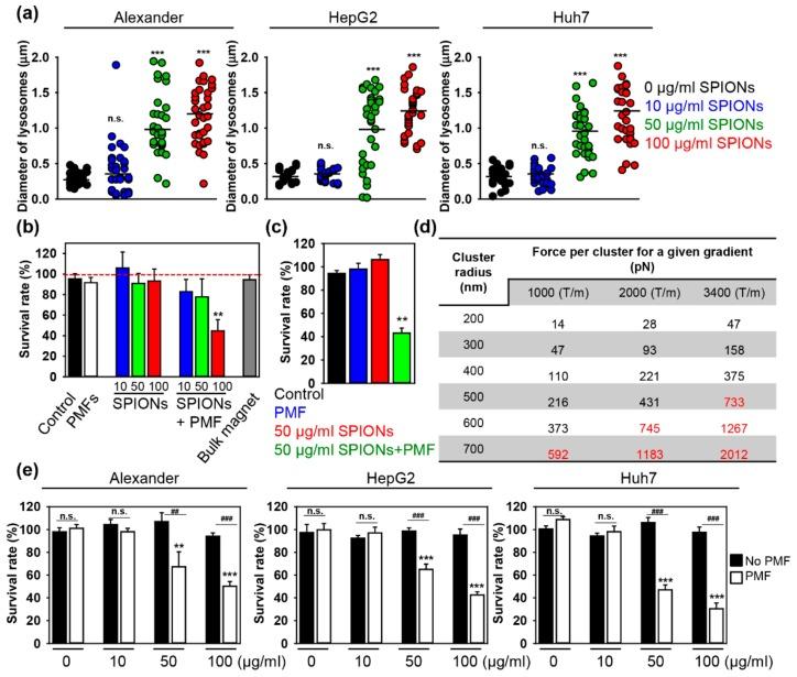 https://cdn.ncbi.nlm.nih.gov/pmc/blobs/e119/6966689/e292d6af4121/cancers-11-01873-g002.jpg