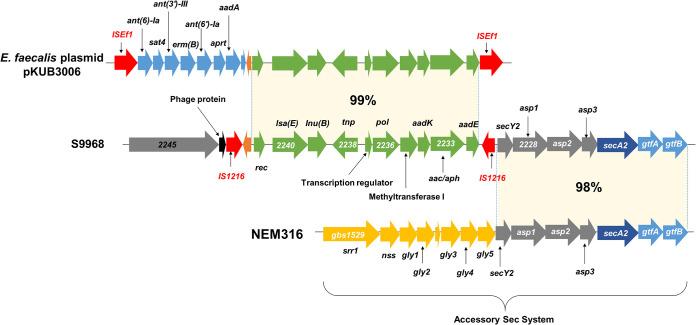 https://cdn.ncbi.nlm.nih.gov/pmc/blobs/e119/8386385/cb33a942f21e/msphere.00543-21-f003.jpg