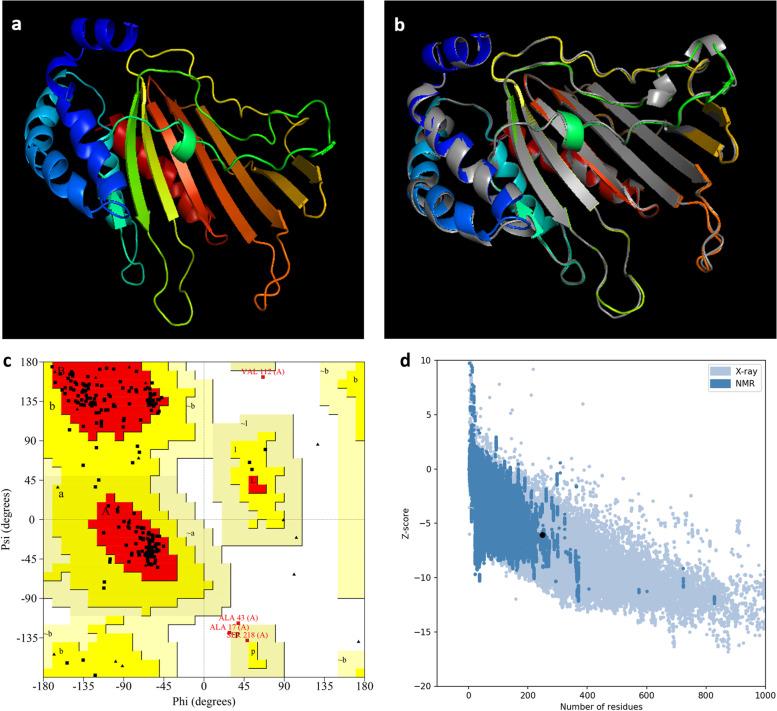 https://cdn.ncbi.nlm.nih.gov/pmc/blobs/e11a/8993957/8f8d57a29cb4/43141_2022_340_Fig6_HTML.jpg