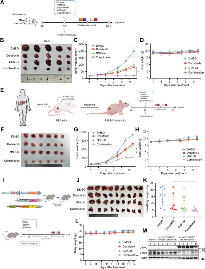 https://cdn.ncbi.nlm.nih.gov/pmc/blobs/e11c/10401117/604da6ad0764/ADVS-10-2206798-g008.jpg