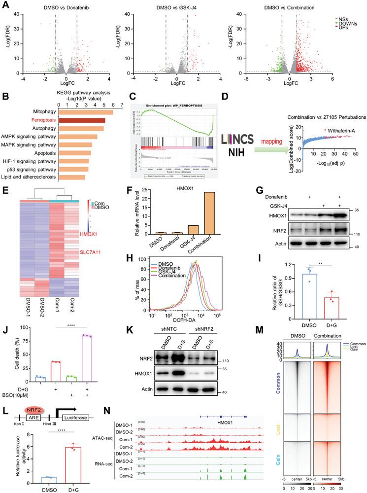 https://cdn.ncbi.nlm.nih.gov/pmc/blobs/e11c/10401117/81d8f41a6a47/ADVS-10-2206798-g007.jpg